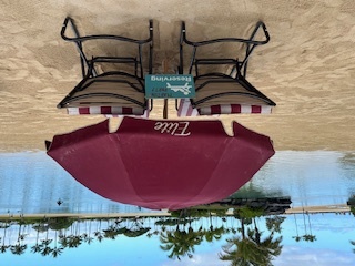 Beachfront lounging area