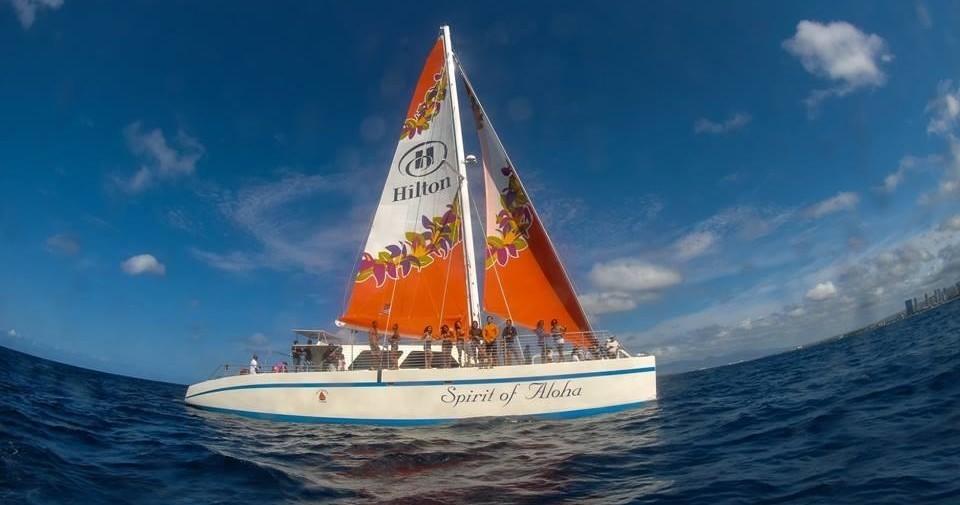 Turtle Snorkel Sail with Lunch - gallery 1