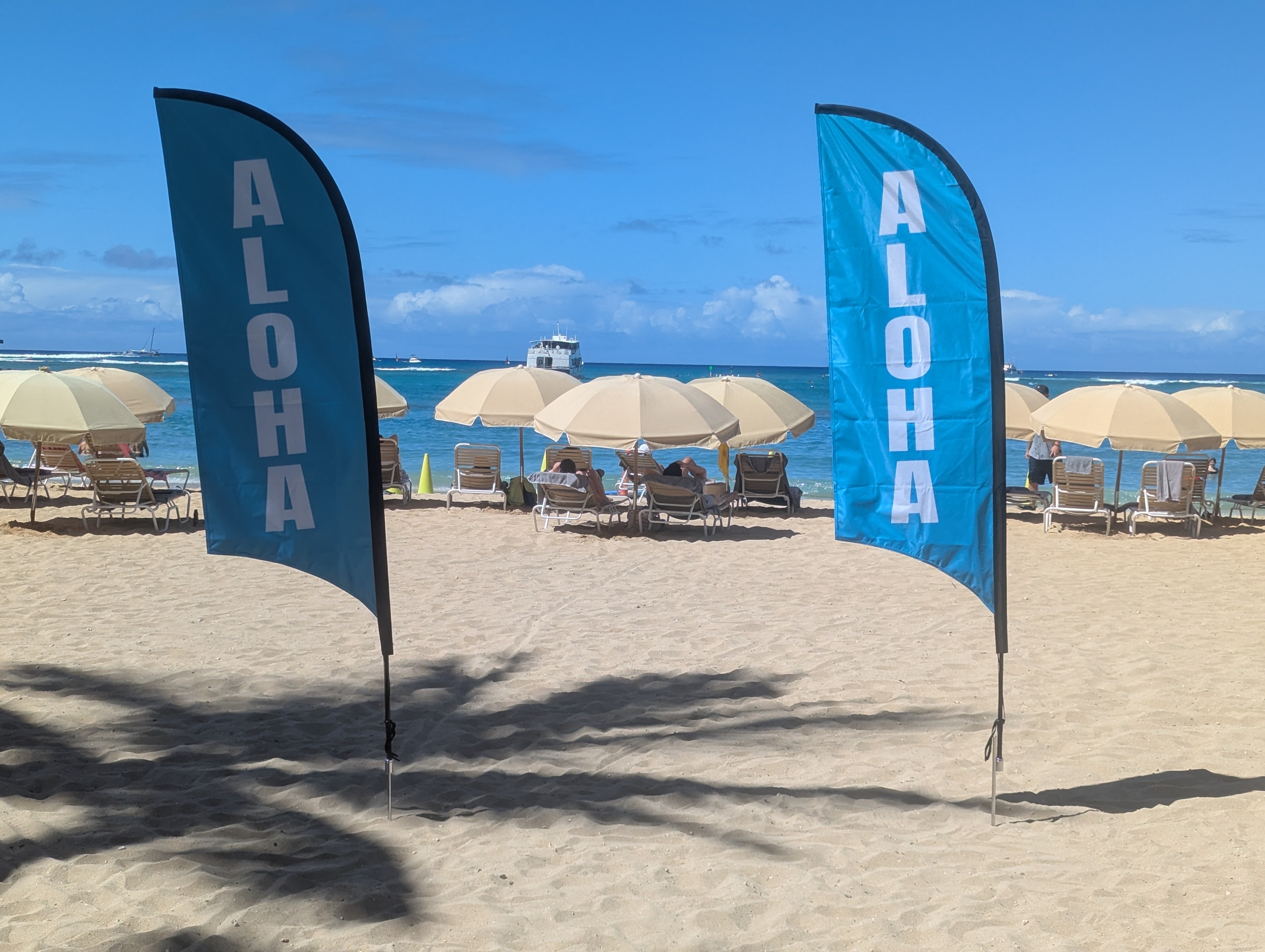 Beachfront lounge chairs